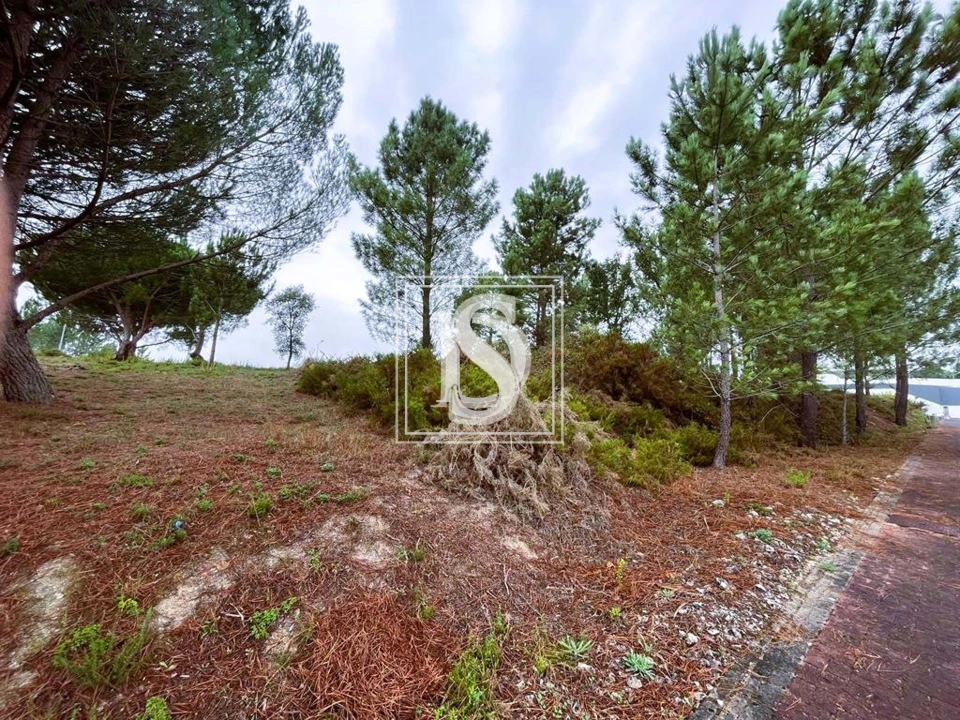Terreno para Venda em Nossa Senhora da Piedade Foto 4