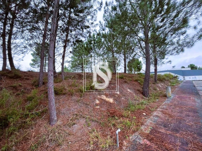 Terreno para Venda em Nossa Senhora da Piedade Foto 3