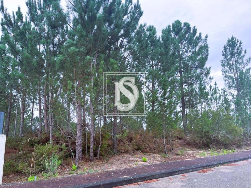 Terreno para Venda em Nossa Senhora da Piedade Foto 2