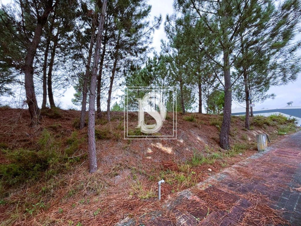 Terreno para Venda em Nossa Senhora da Piedade Foto 1