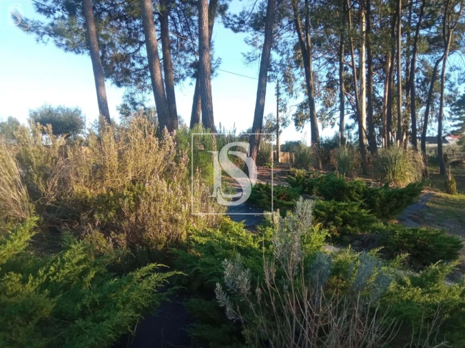 Moradia T3 para Venda em Seiça Foto 1