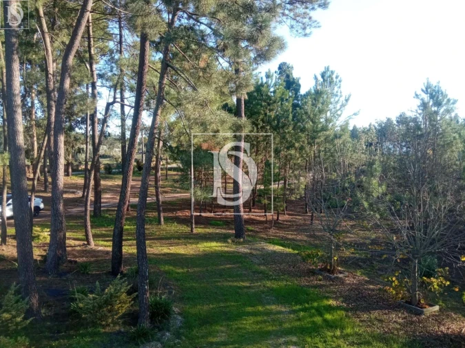 Moradia T3 para Venda em Seiça Foto 11