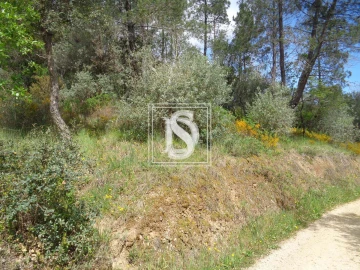 Terreno para Venda em São Pedro de Tomar