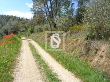 Terreno para Venda em São Pedro de Tomar