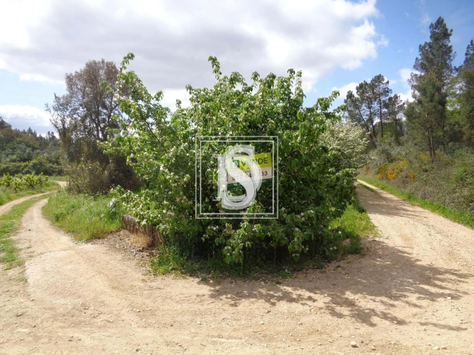 Terreno para Venda em São Pedro de Tomar Foto 8