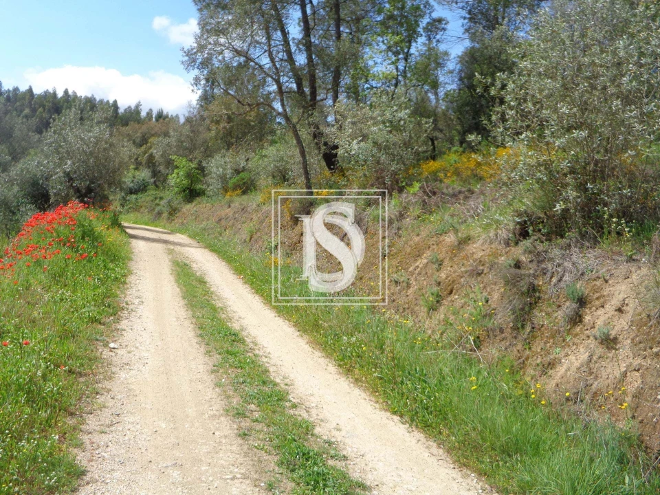 Terreno para Venda em São Pedro de Tomar Foto 2