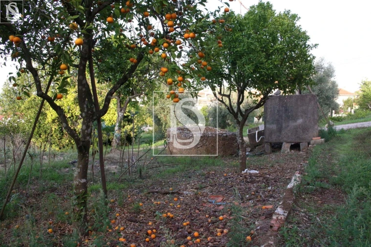 Moradia T3 para Venda em Alburitel Foto 20