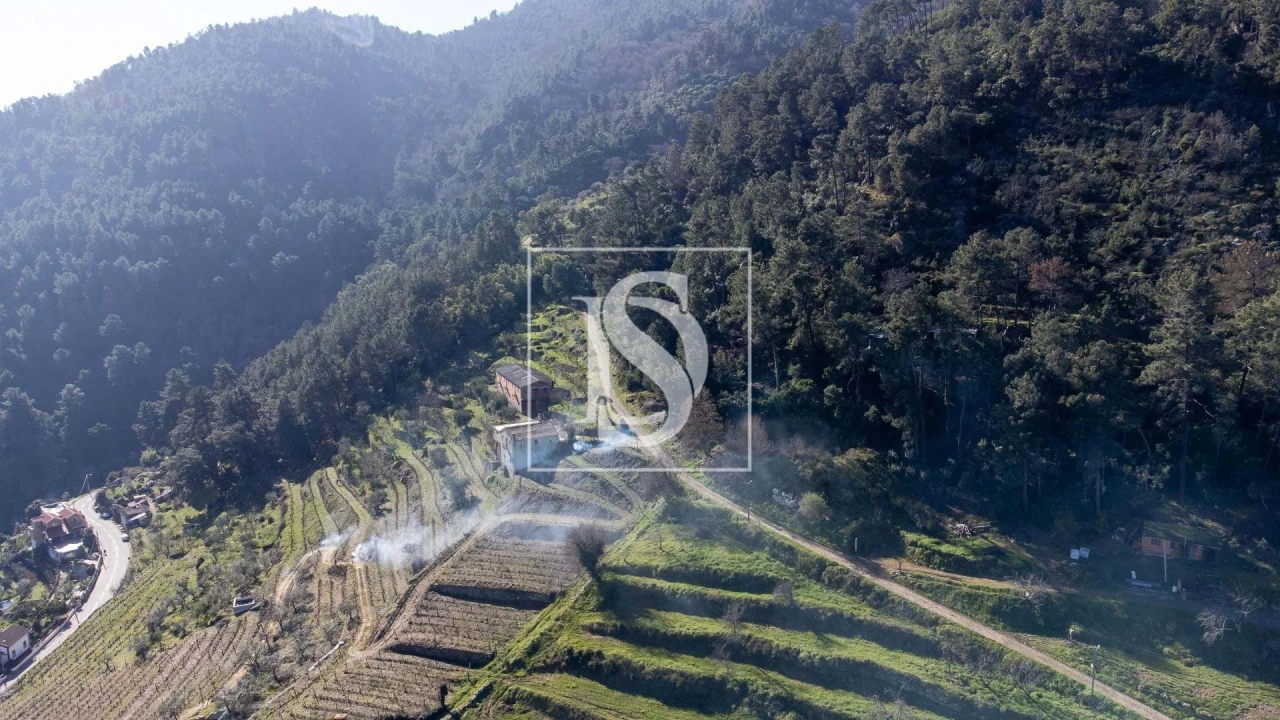 Quinta T3 para Venda em Távora e Pereiro Foto 5