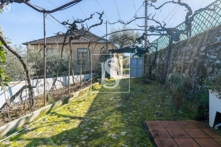 Quinta T3 para Venda em Távora e Pereiro Foto 15