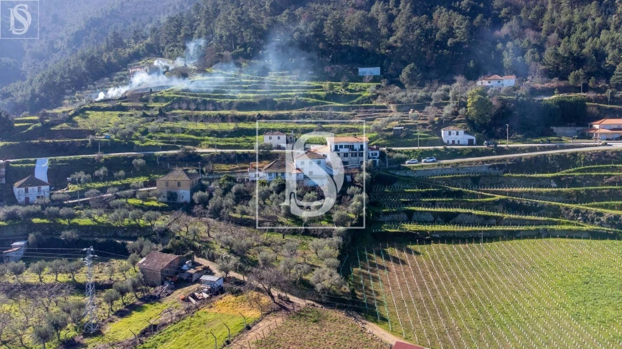 Quinta T3 para Venda em Távora e Pereiro Foto 7