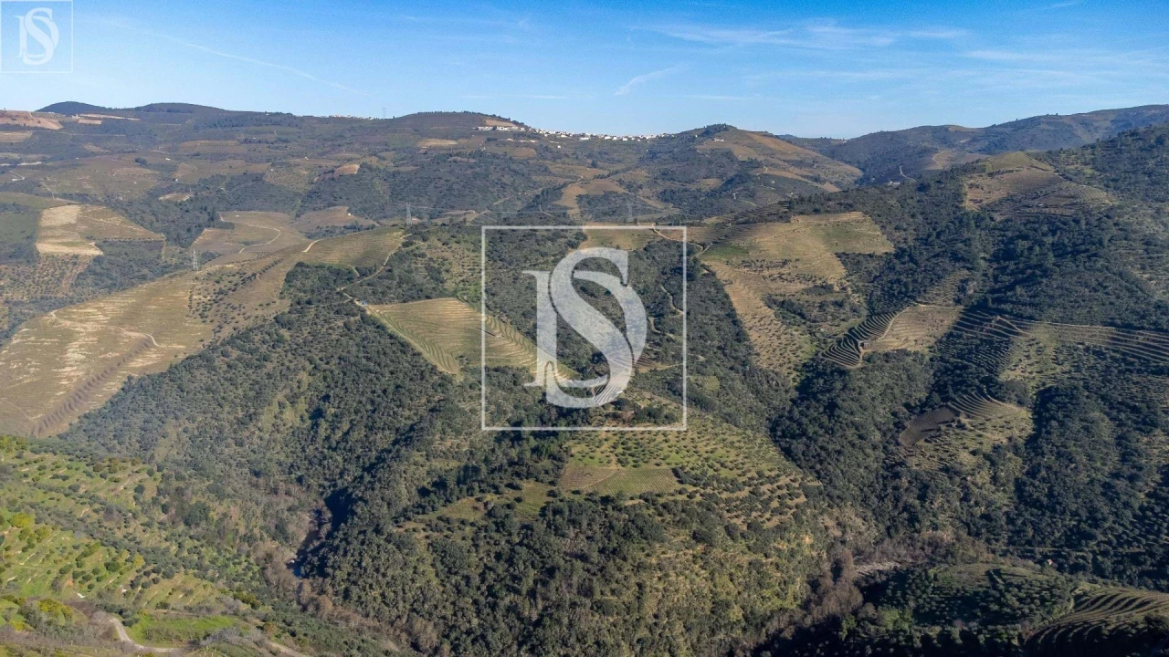 Quinta T3 para Venda em Távora e Pereiro Foto 3