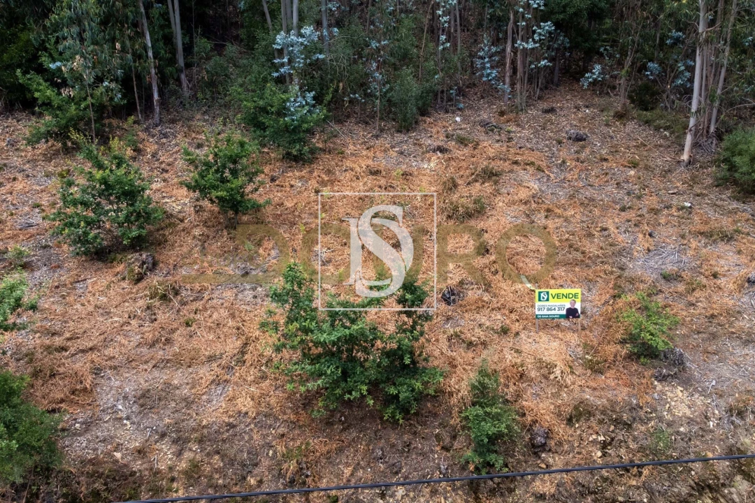 Terreno para Venda em Melres e Medas Foto 10