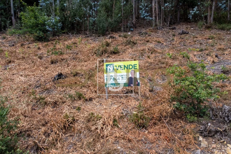 Terreno para Venda em Melres e Medas Foto 9