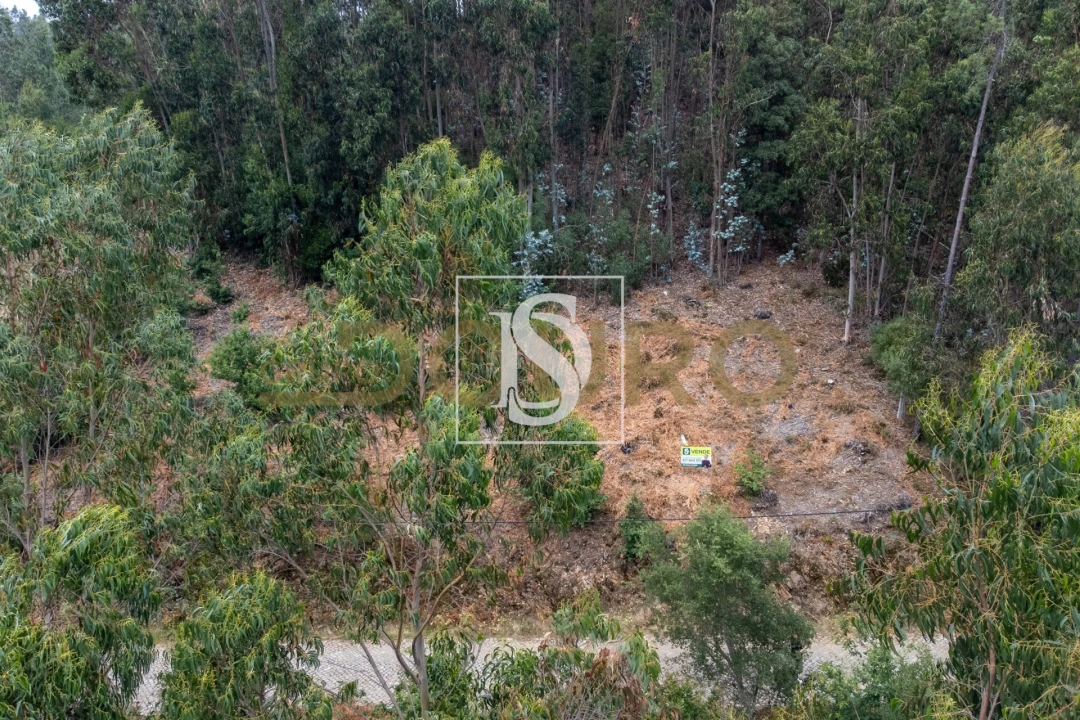 Terreno para Venda em Melres e Medas Foto 11