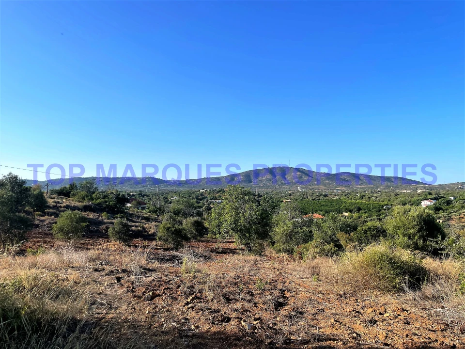 Terreno Misto para Venda em Quelfes Foto 6