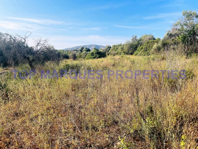 Terreno Misto para Venda em Quelfes Foto 4