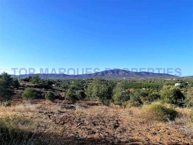 Terreno Misto para Venda em Quelfes Foto 6