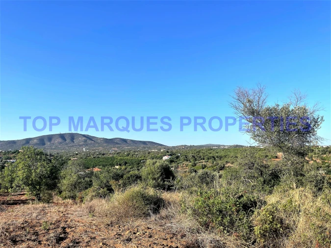 Terreno Misto para Venda em Quelfes Foto 7