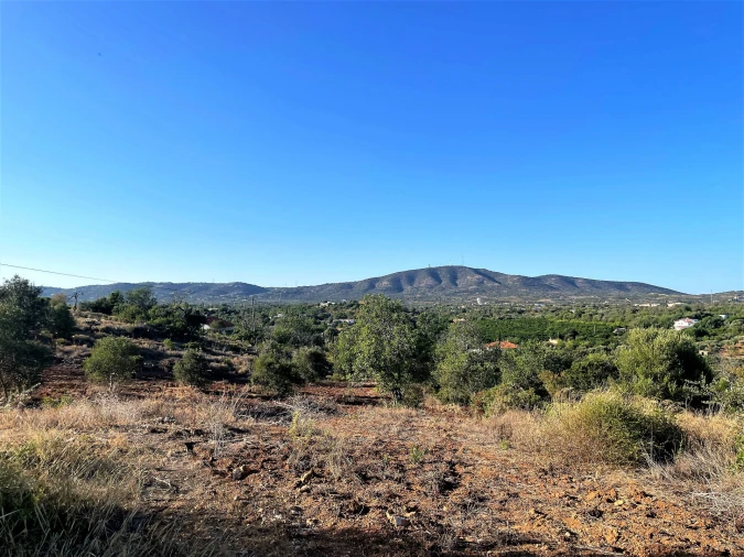Terreno Misto para Venda em Quelfes Foto 4