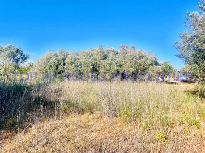 Terreno Misto para Venda em Quelfes Foto 3