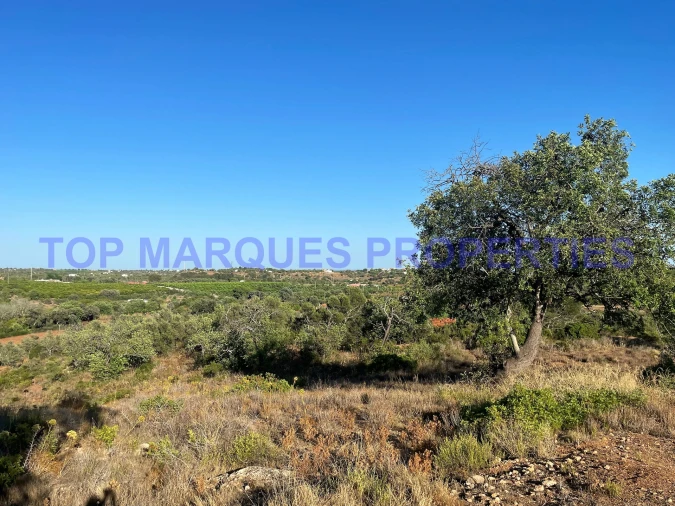 Terreno Misto para Venda em Quelfes Foto 5