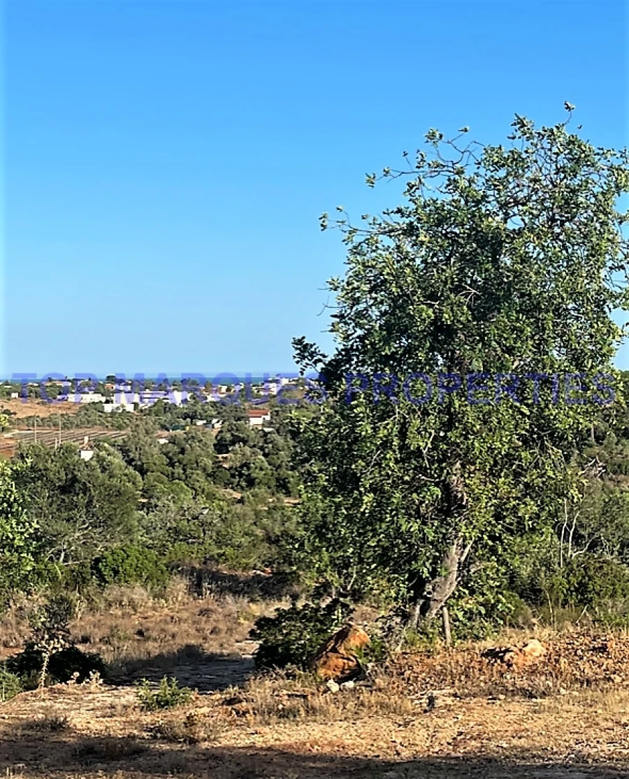 Terreno Misto para Venda em Quelfes Foto 9