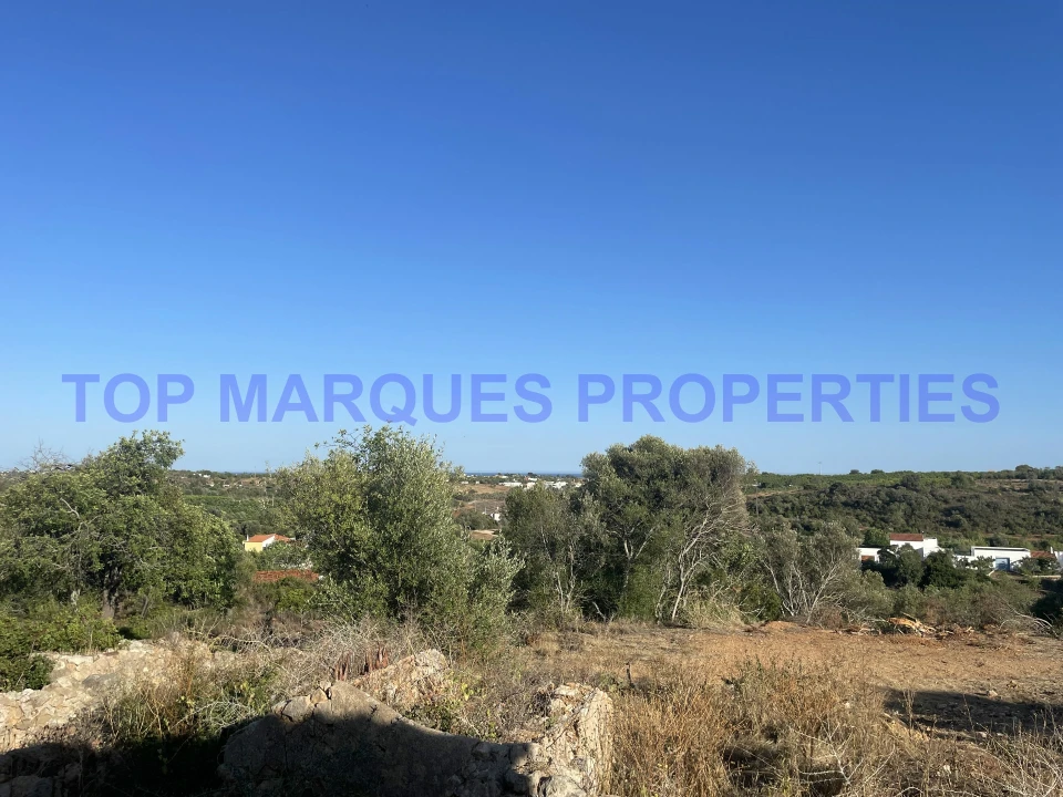 Terreno Misto para Venda em Quelfes Foto 10