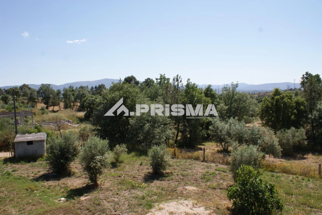 Terreno para Venda em Pero Viseu Foto 27