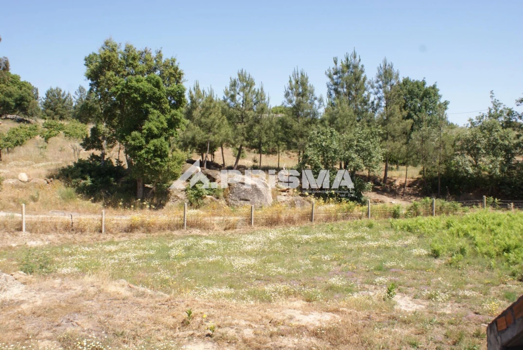Terreno para Venda em Pero Viseu Foto 8