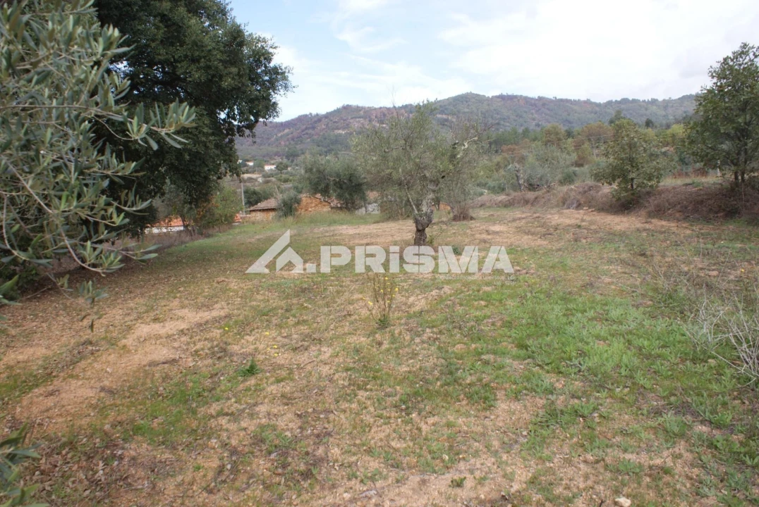 Terreno para Venda em Pero Viseu Foto 10