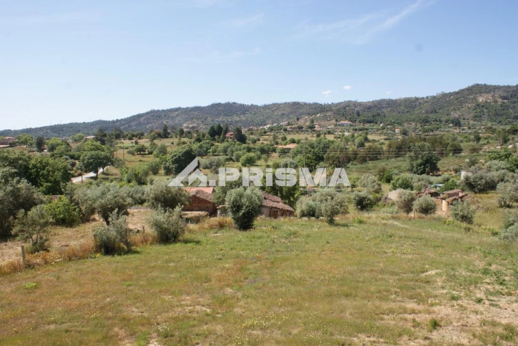 Terreno para Venda em Pero Viseu Foto 3