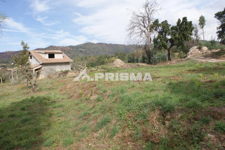 Terreno para Venda em Pero Viseu Foto 5