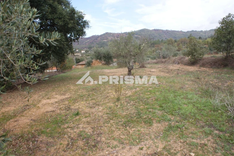 Terreno para Venda em Pero Viseu Foto 10