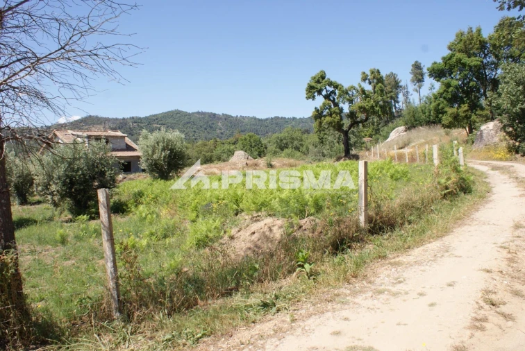 Terreno para Venda em Pero Viseu Foto 6