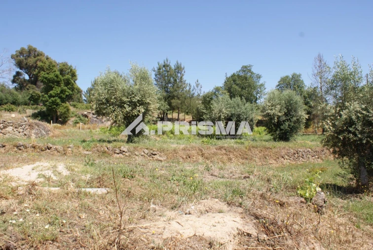 Terreno para Venda em Pero Viseu Foto 17
