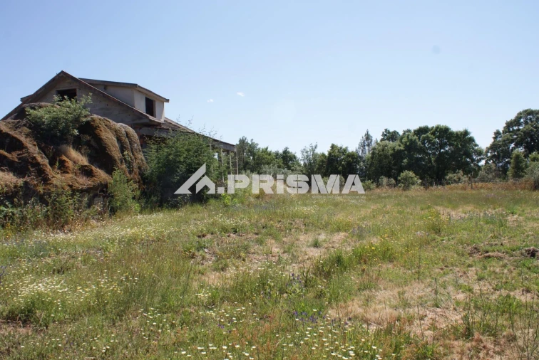 Terreno para Venda em Pero Viseu Foto 1