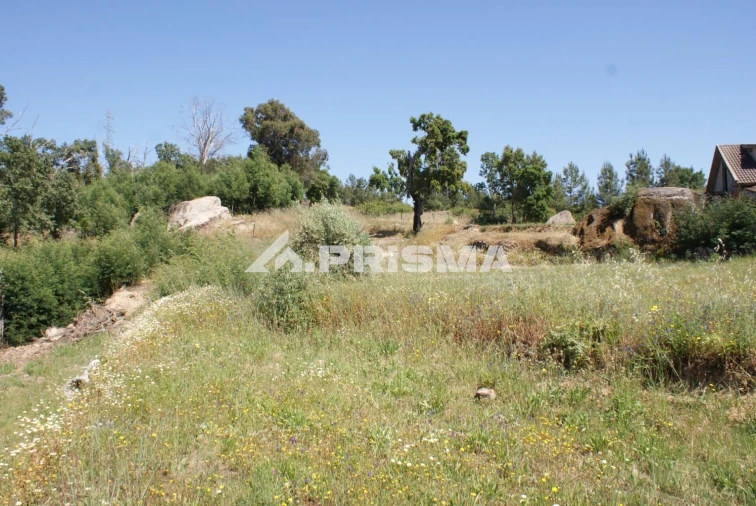 Terreno para Venda em Pero Viseu Foto 2