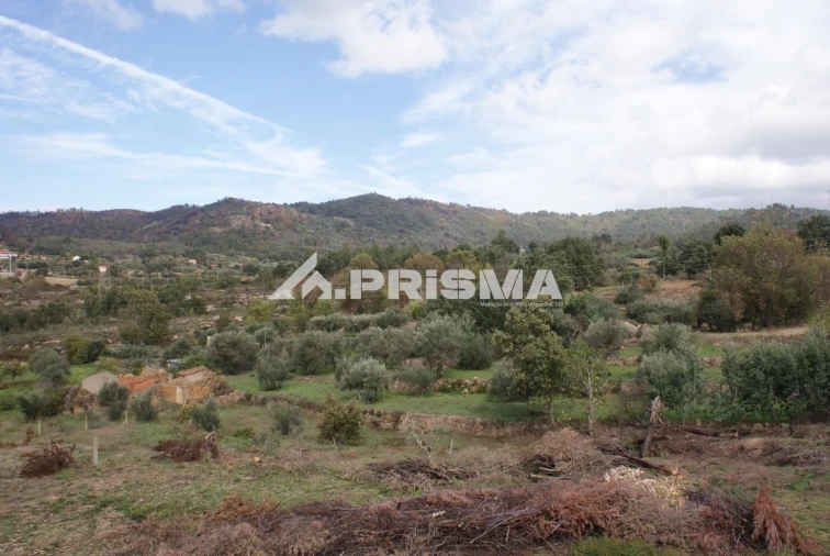 Terreno para Venda em Pero Viseu Foto 11