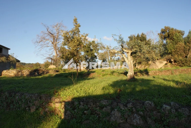Terreno para Venda em Pero Viseu Foto 9