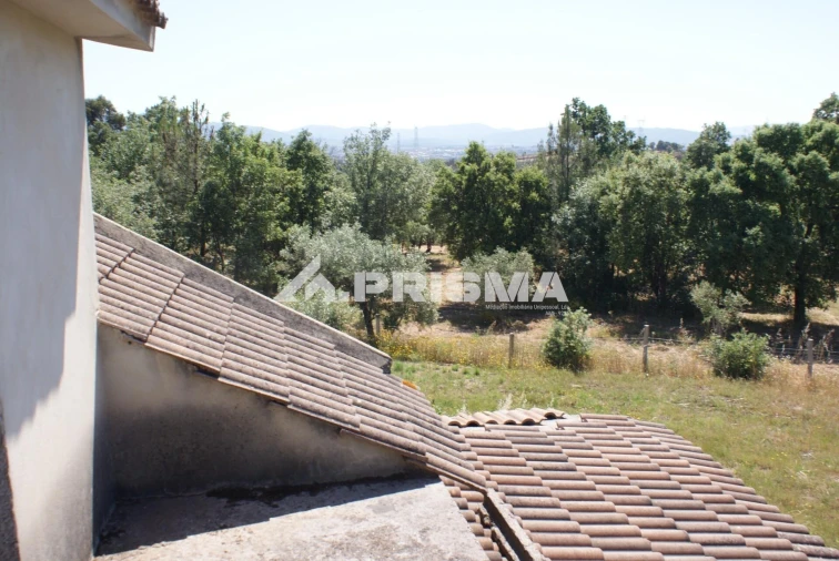 Terreno para Venda em Pero Viseu Foto 29
