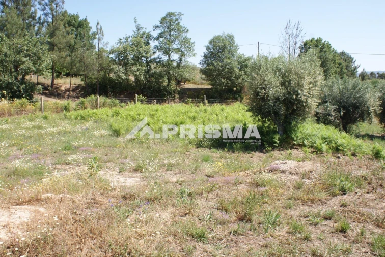 Terreno para Venda em Pero Viseu Foto 32