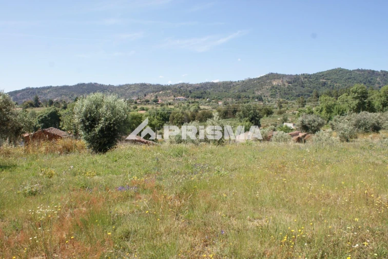 Terreno para Venda em Pero Viseu Foto 15