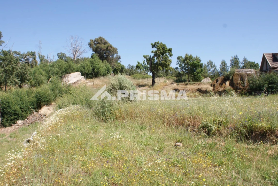 Terreno para Venda em Pero Viseu Foto 2