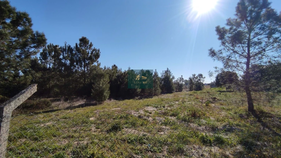 Terreno para Venda em Pinhal Novo Foto 6