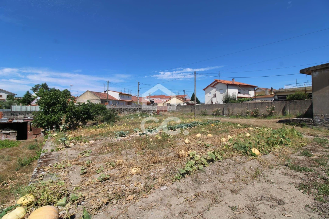 Moradia T4 para Venda em Santa Maria Maior Foto 34