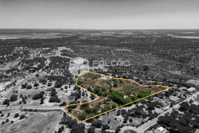 Terreno para Venda em Santo Estêvão