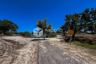 Terreno para Venda em Santo Estêvão