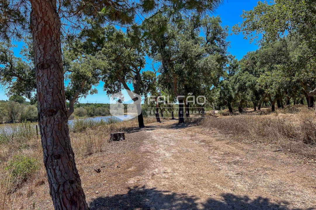 Terreno para Venda em Santo Estêvão Foto 7