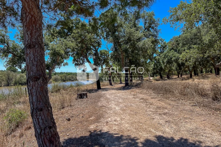 Terreno para Venda em Santo Estêvão Foto 7