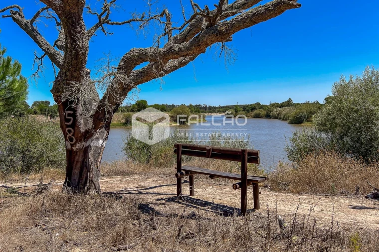 Terreno para Venda em Santo Estêvão Foto 2